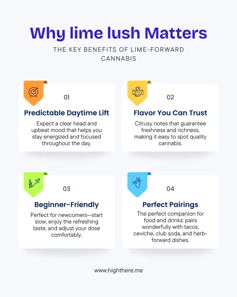 lime-lush-boutique