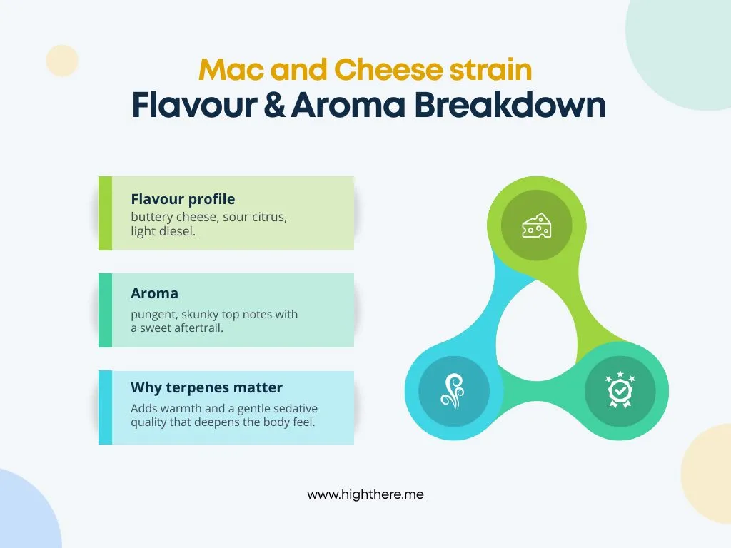 mac-and-cheese-weed-strain