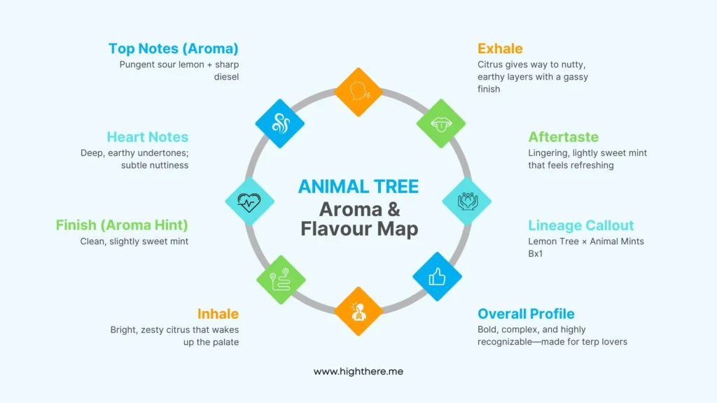 Animal-Tree-Aroma