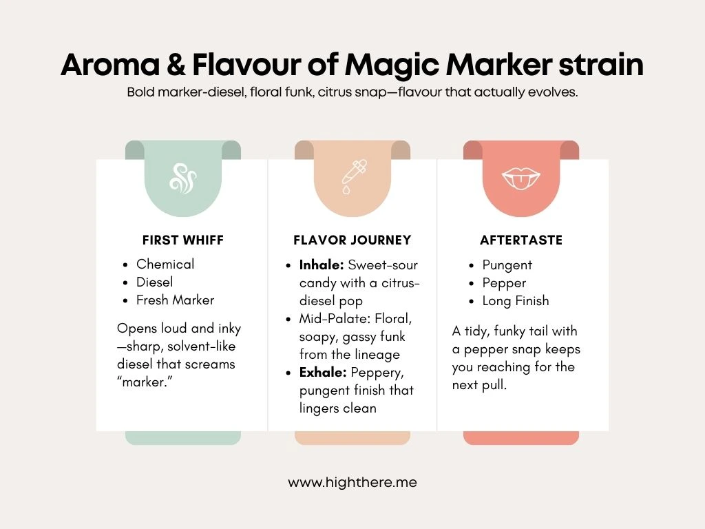 Flavour-of-Magic-Marker-strain