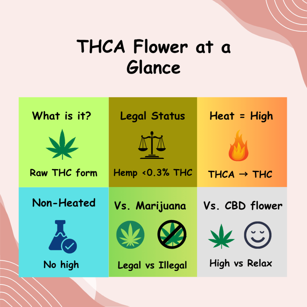Infographic explaining THCA flower basics – what it is, legal status, heating effects, vs marijuana, vs CBD flower