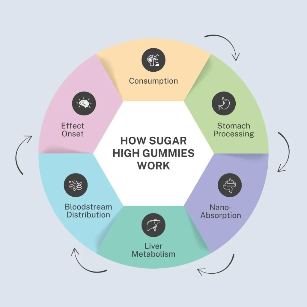 how-high-sugar-gummies-work