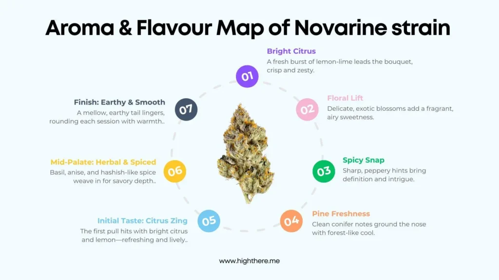 novarine-weed-strain