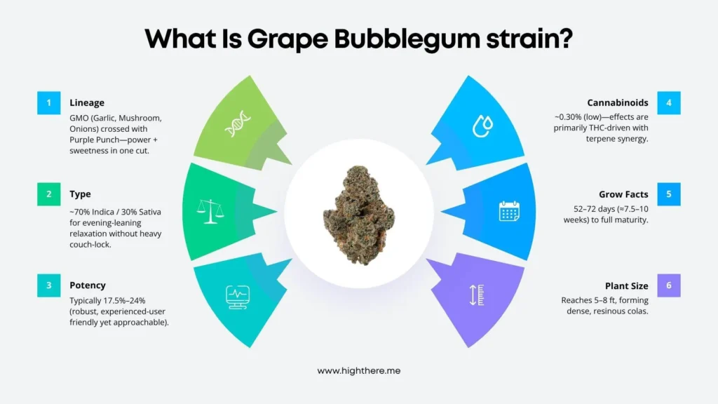what-is-Grape-Bubblegum-Strain
