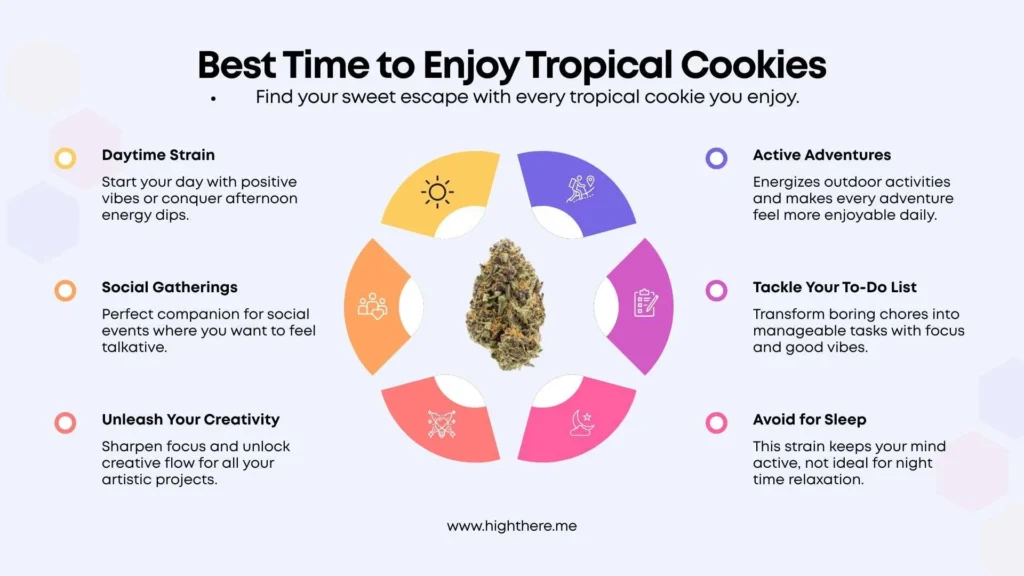 best-time-to-enjoy-Tropical-Cookies-Strain