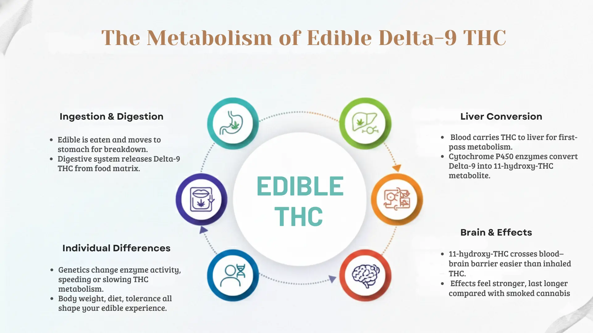 Popular-Delta-9-Edible-Formats