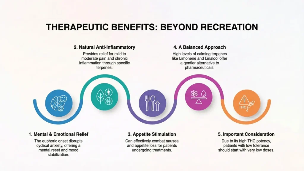 Archive Runtz strain