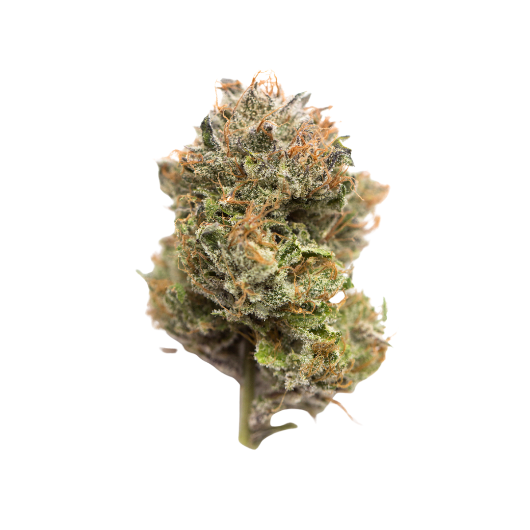 Gelato 33