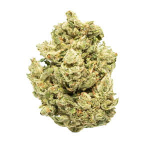 Gorilla Glue