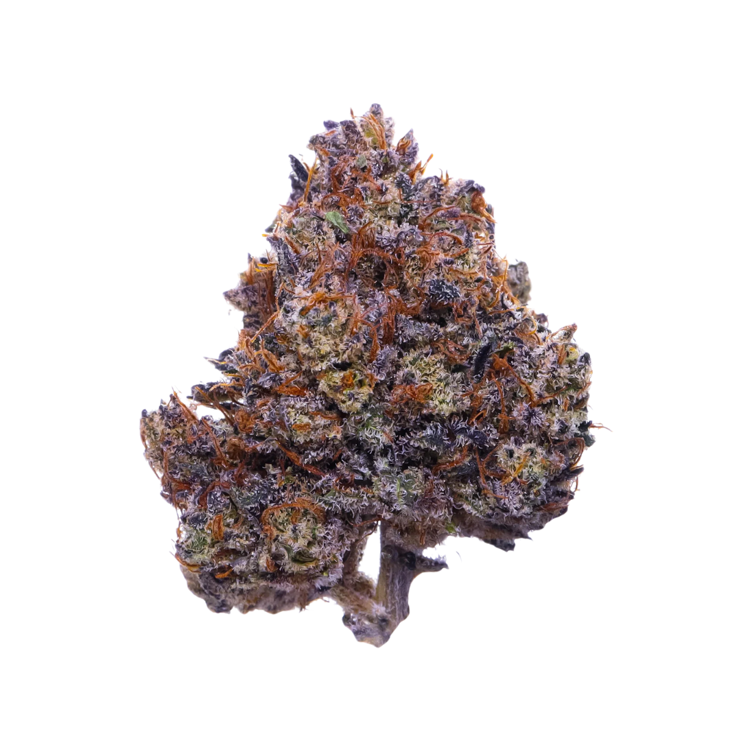 Purple Haze