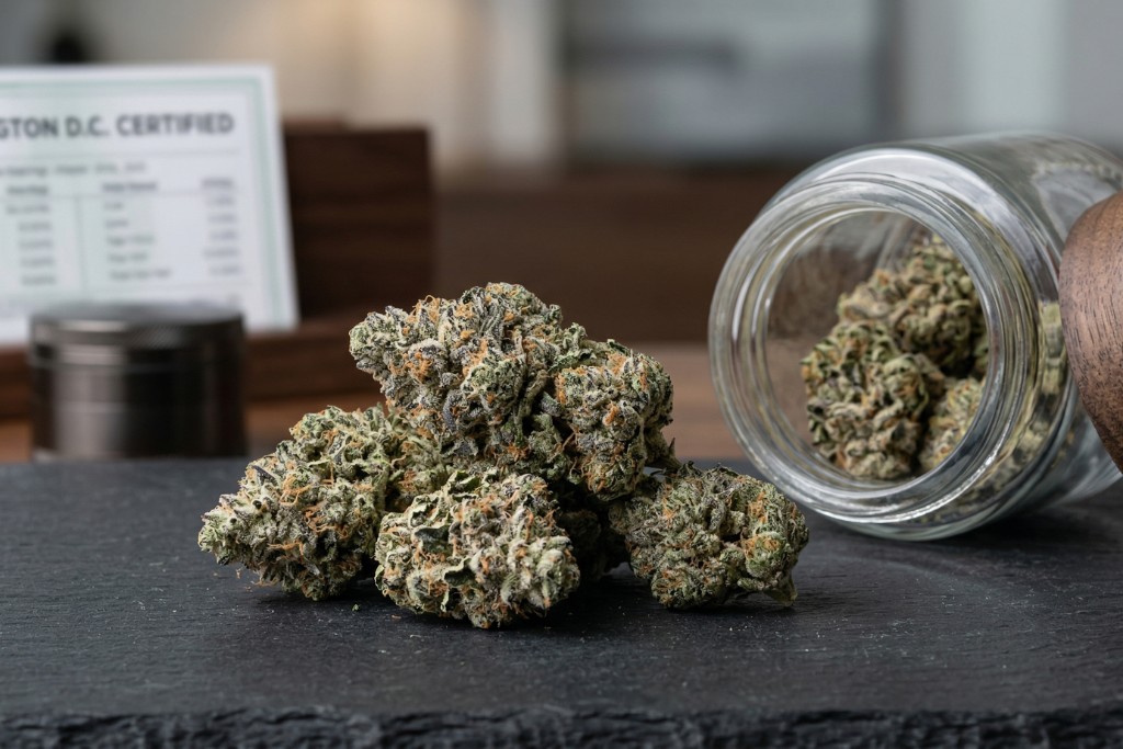 best hybrid THCA flower strains for daytime use