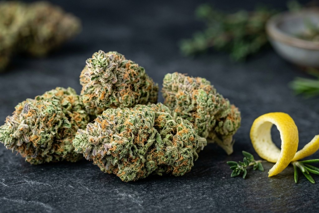 citrus octane strain Washington DC