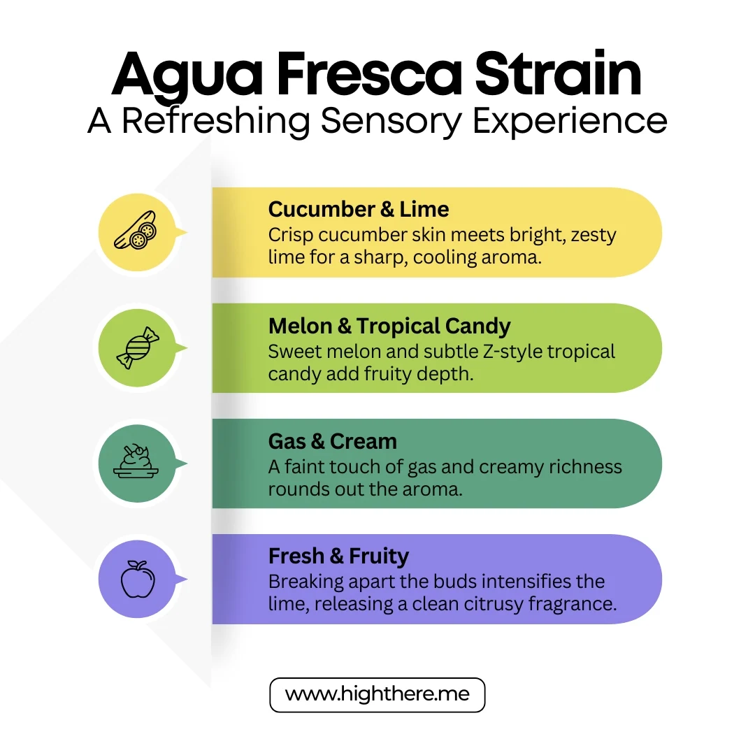 Agua Fresca Strain