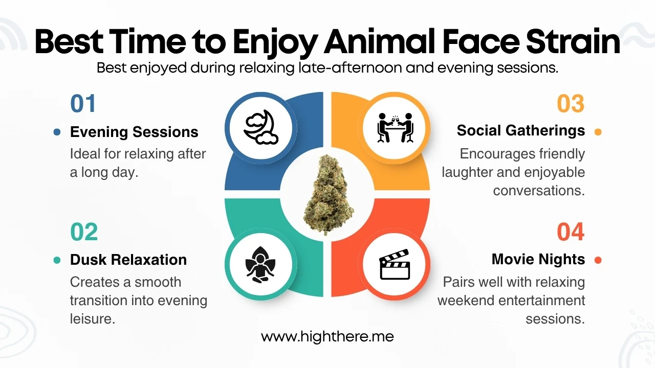 Animal Face Strain Effects