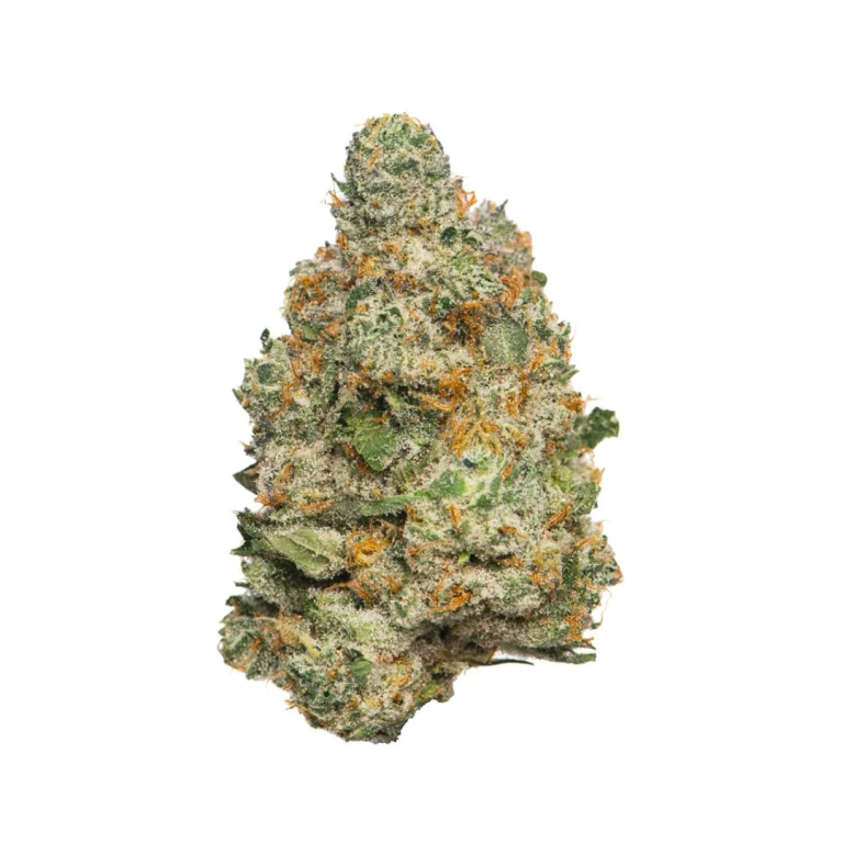 Apple Fritter