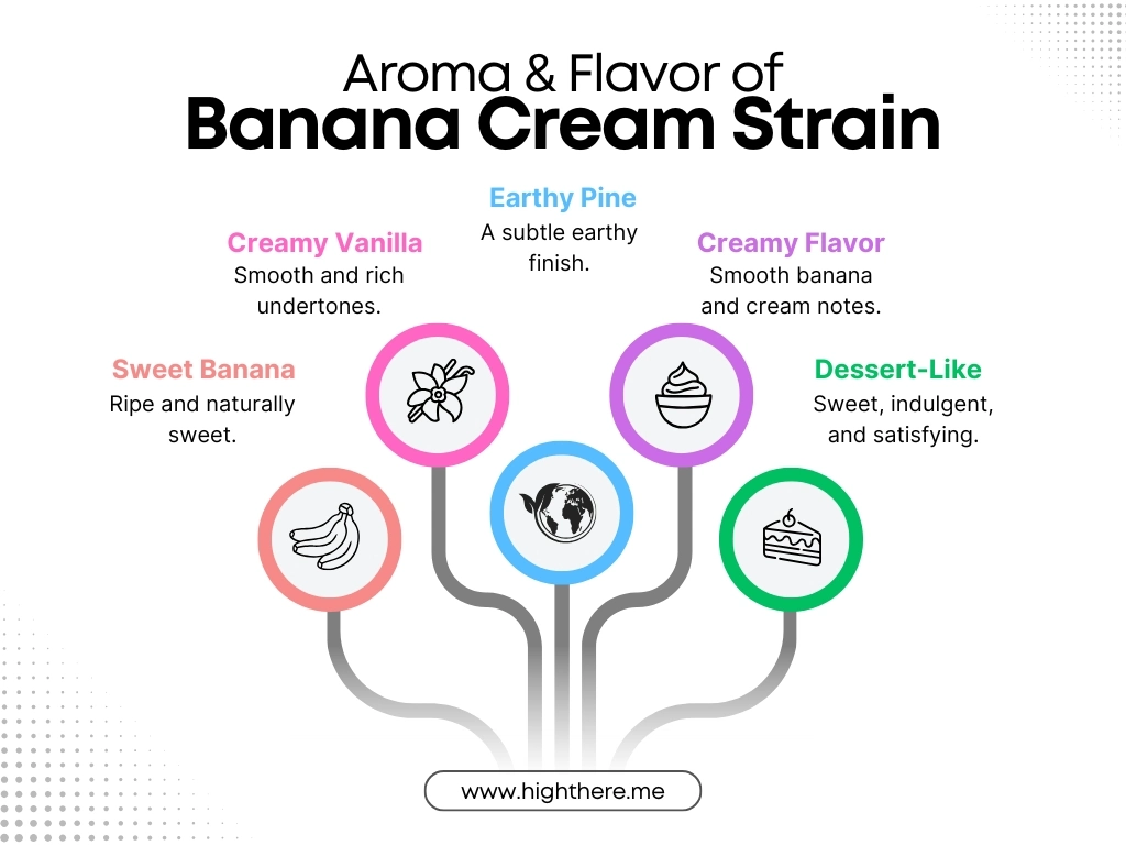 Banana-Cream-Strain-Flavor