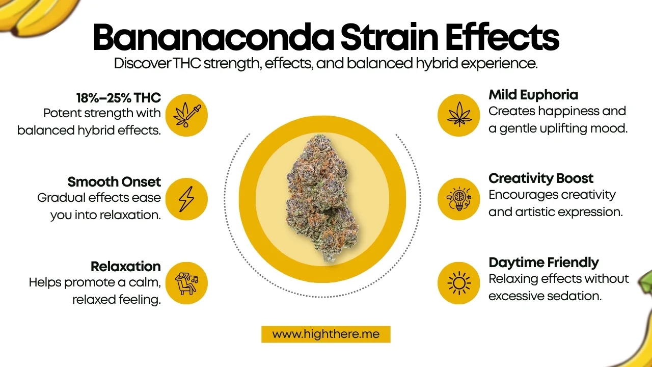Bananaconda Strain Effects