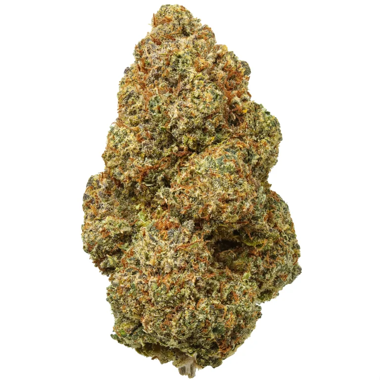 Candy Jack
