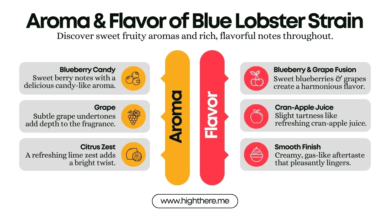 Blue Lobster Strain Flavor