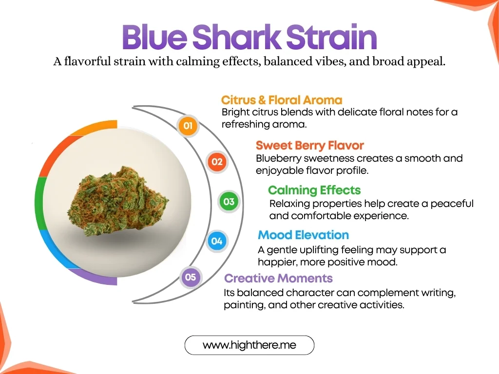 Blue-Shark-Strain