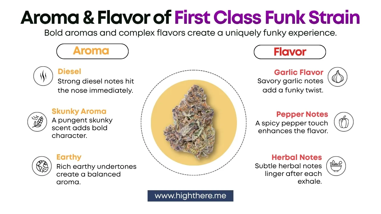 First Class Funk Strain Flavor