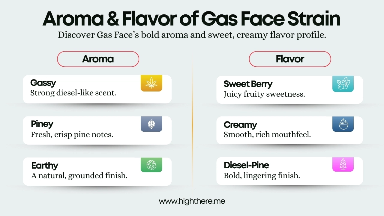Flavor-of-Gas-Face-Strain
