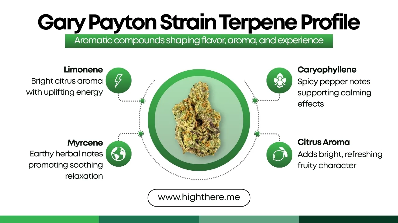 Gary Payton Strain Terpenes