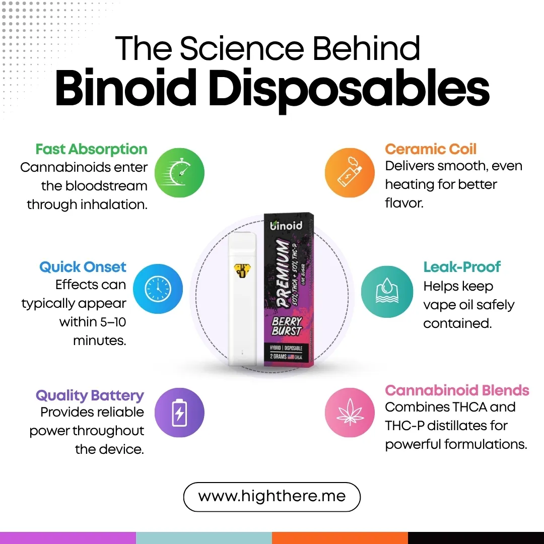 How Binoid Disposable Work