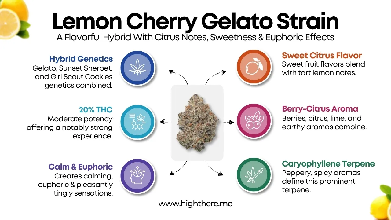 Lemon Cherry Gelato Strain