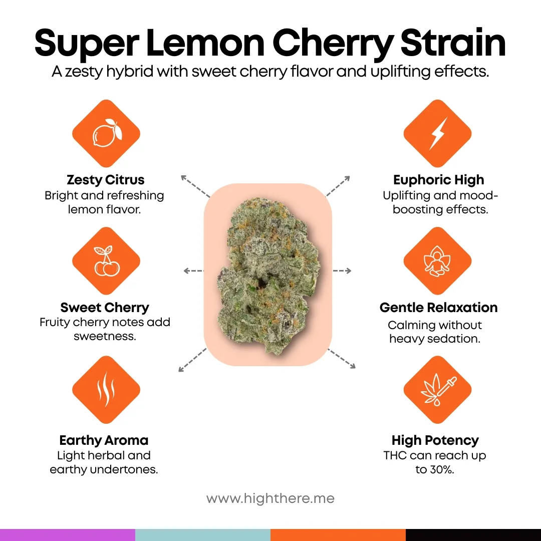 Super Lemon Cherry Strain
