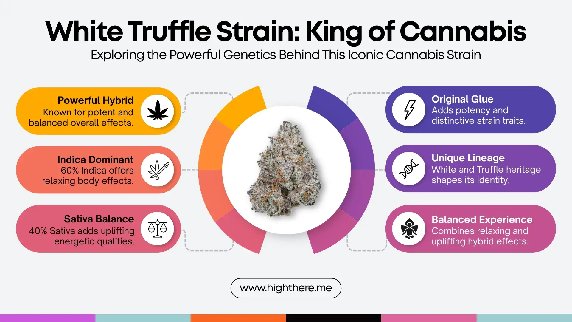 White Truffle Strain