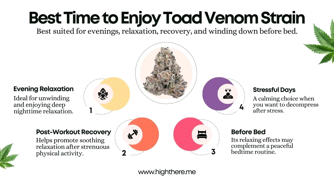 the toad strain review
