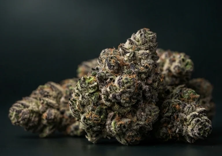 Bolo Runtz Terpenes