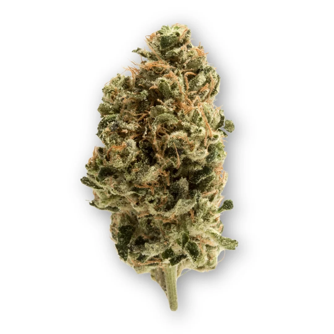 Snowflake Strain