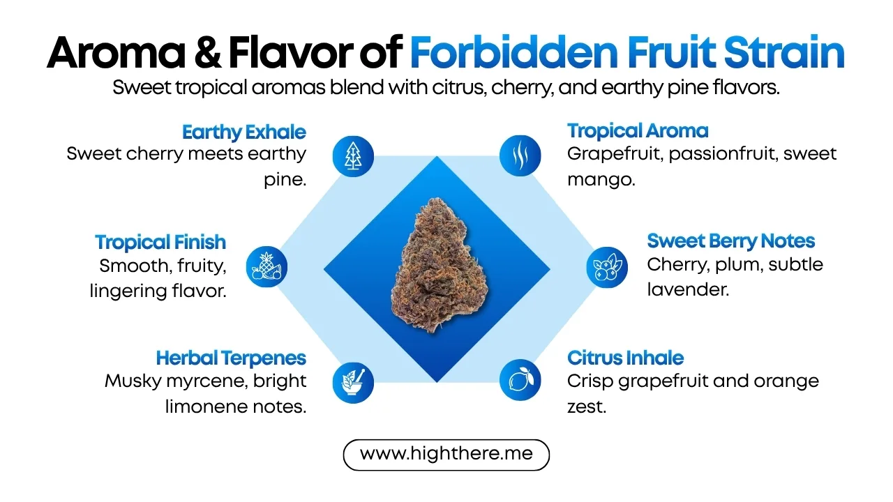 forbidden fruit cake strain