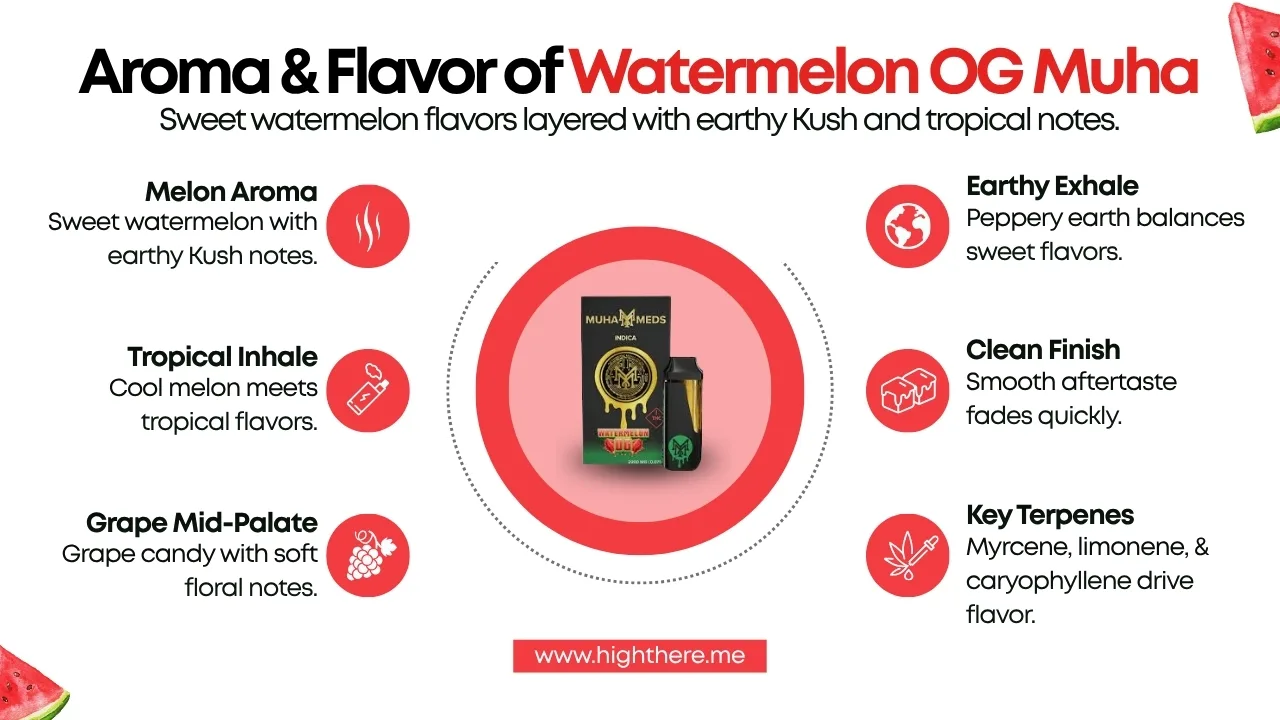 watermelon muha