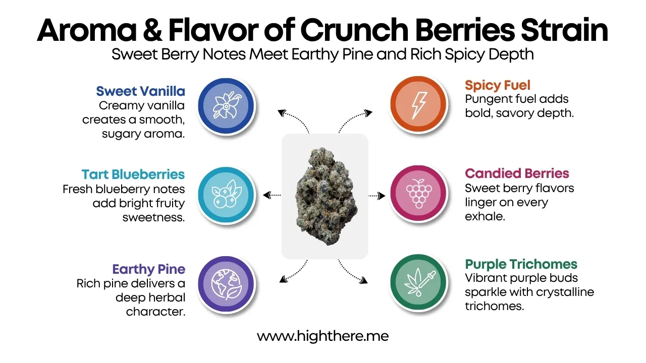 Crunch Berries strain flavor