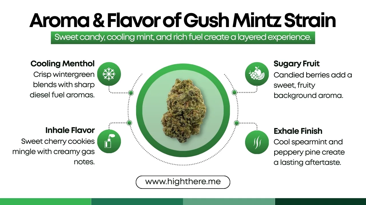 Gush Mintz Strain