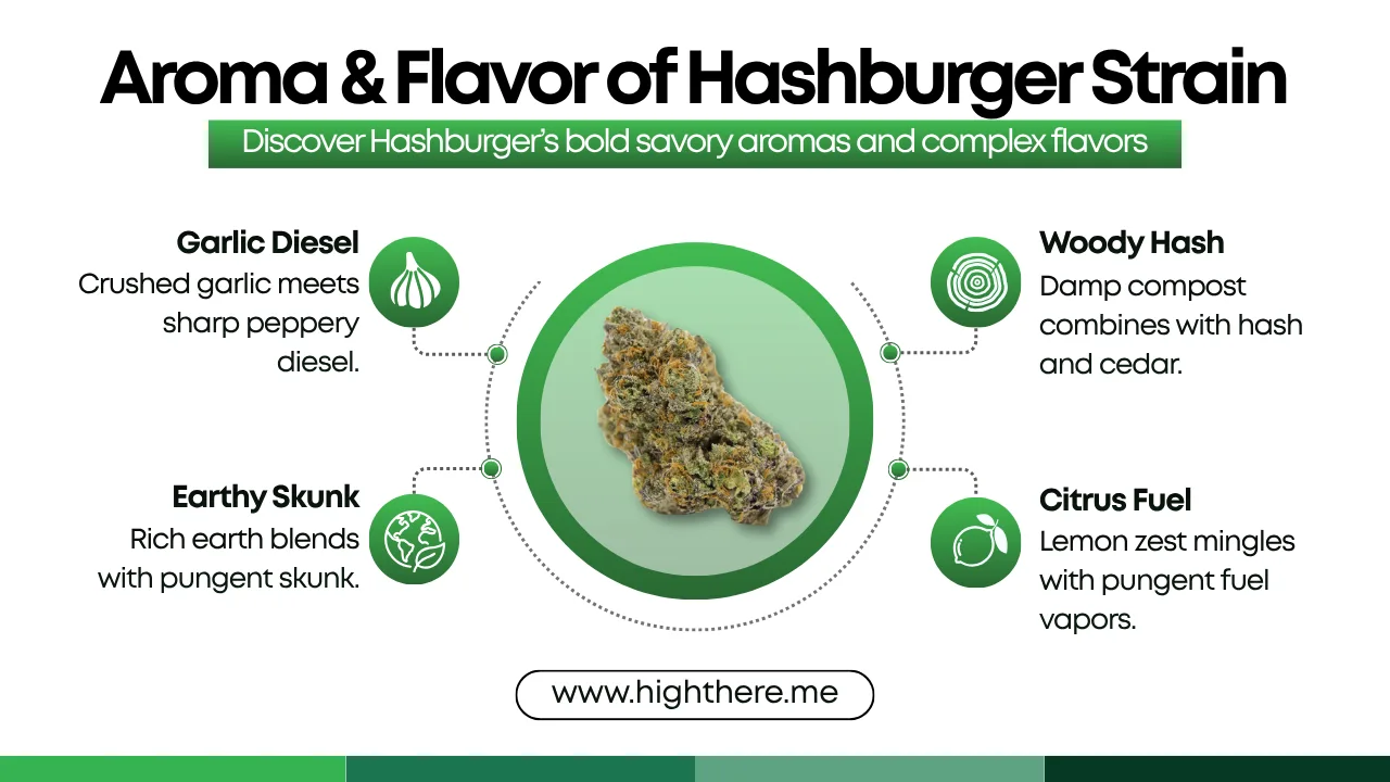 Hash Burger strain THCA