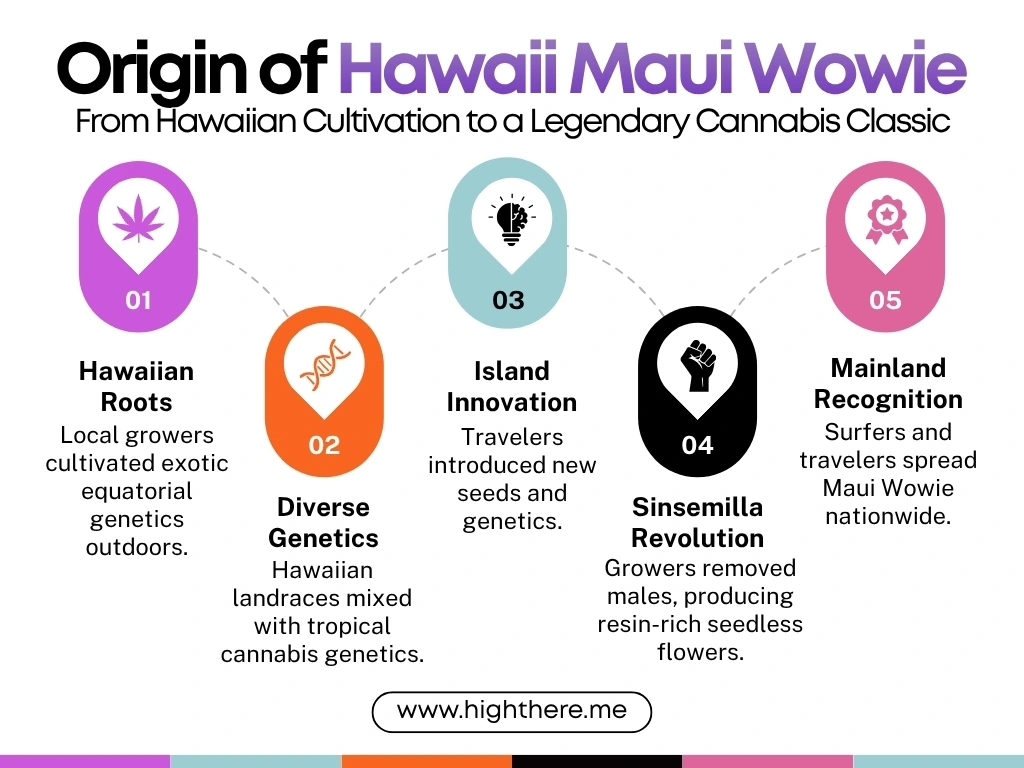 Hawaii Maui Wowie