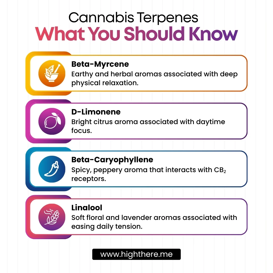 Marijuana Weed Dispensary DC