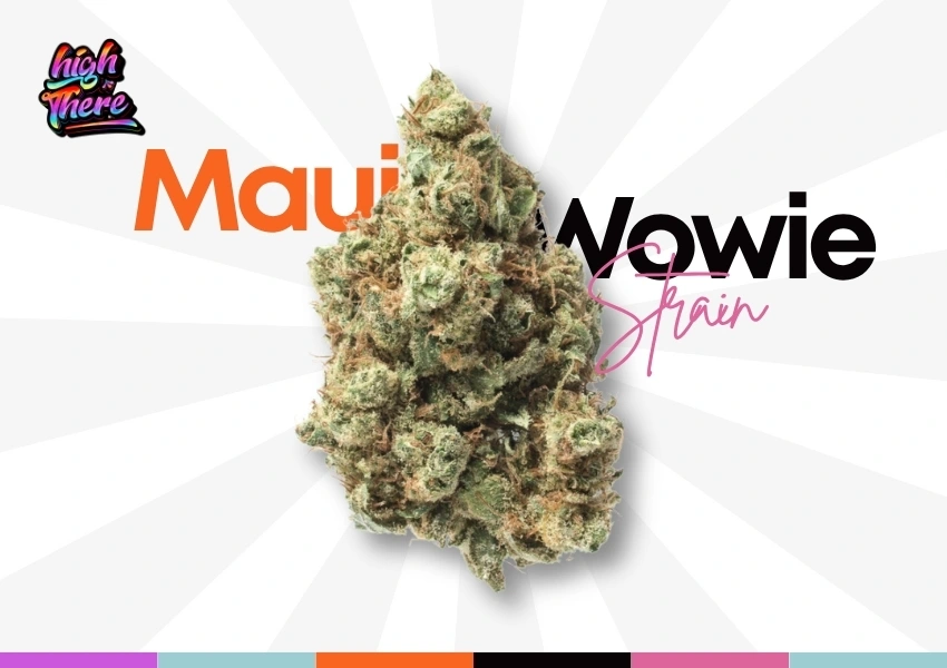 Maui Wowie Strain