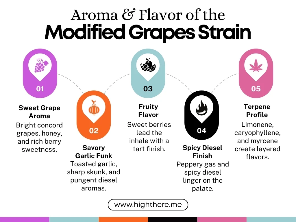 Modified Grapes Strain taste