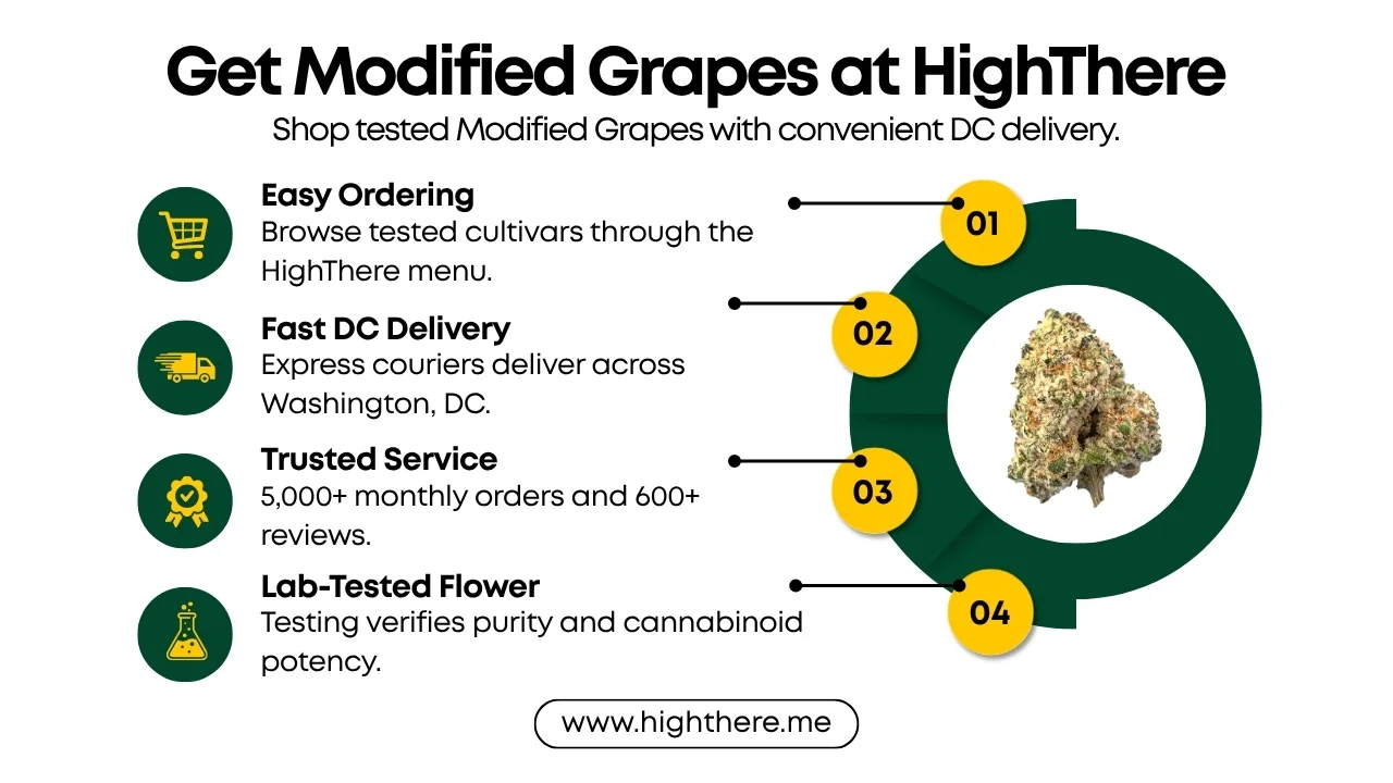 Modified Grapes strain near me