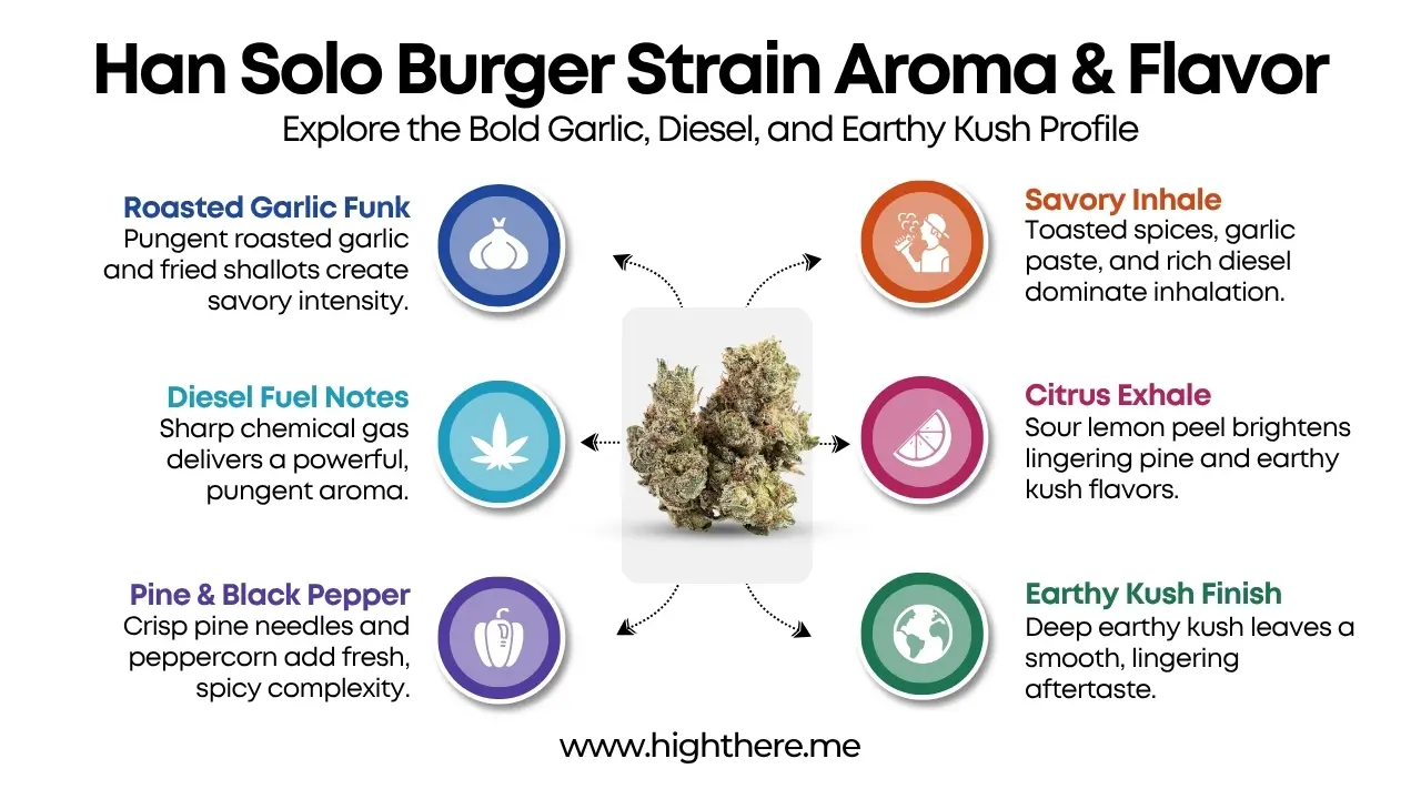 Han Solo Burger Strain Flavor