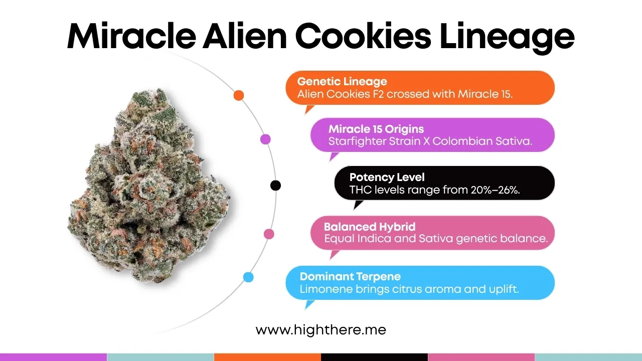 Miracle Alien Cookies strain lineage