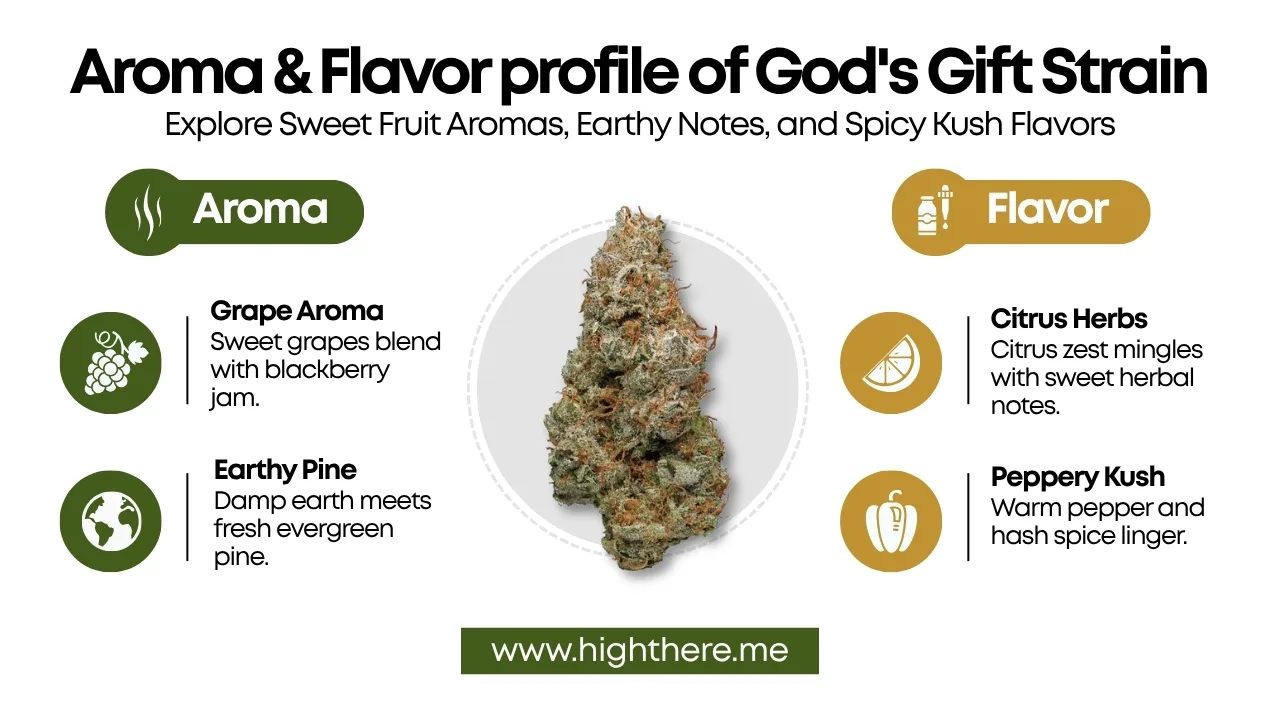 god's gift strain review