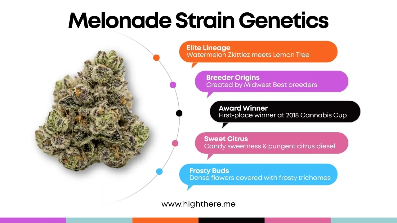 melonade strain genetics